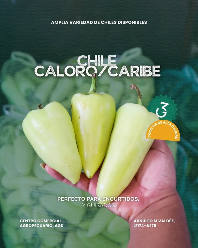 Chile Caloro
