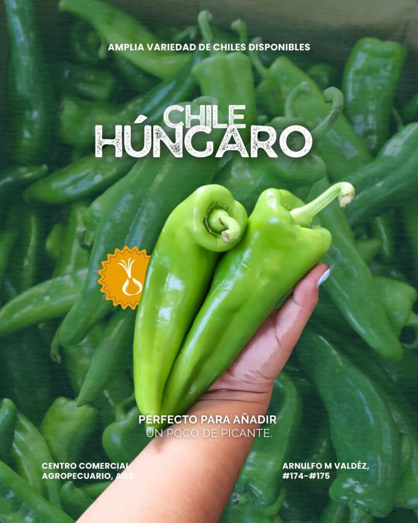 Chile Húngaro