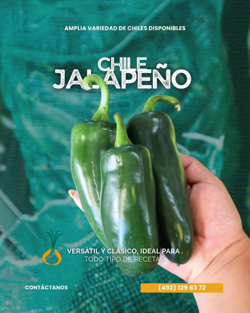 Chile Jalapeño