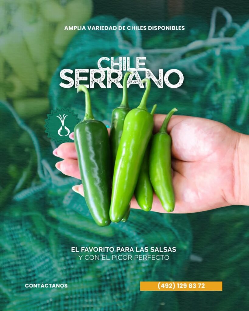 Chile Serrano