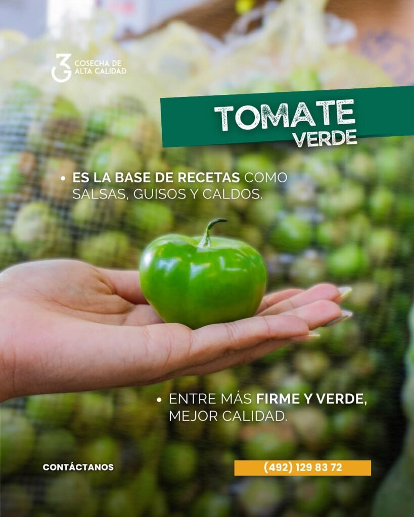 Tomate Verde
